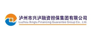 泸州市九游会老哥融资担保集团有限公司
